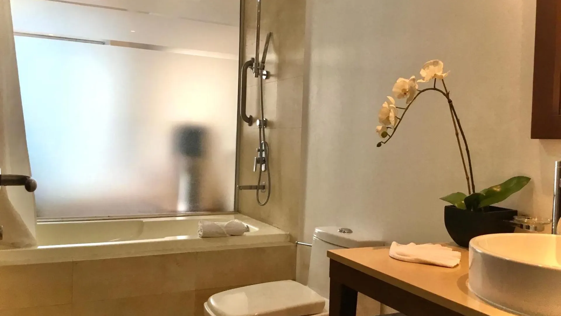 Departamentos Oceanfront Icon Vallarta Пуэрто-Вальярта Апартаменты